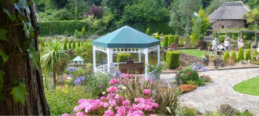 Crowndale Torquay - Exclusively For Adults Bed and Breakfast Buitenkant foto