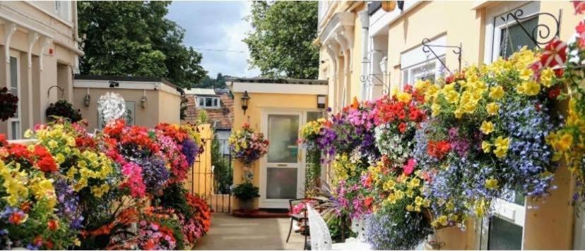 Crowndale Torquay - Exclusively For Adults Bed and Breakfast Buitenkant foto